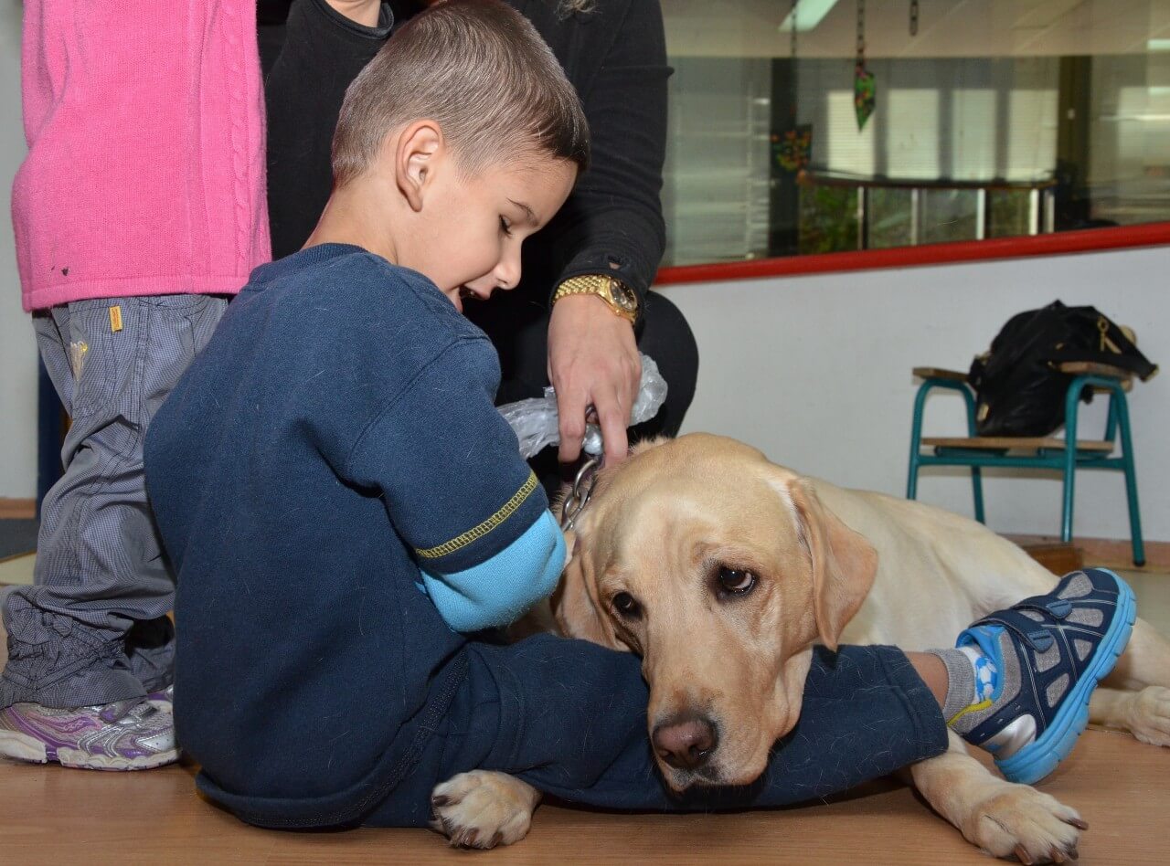 young boy with a guide dog