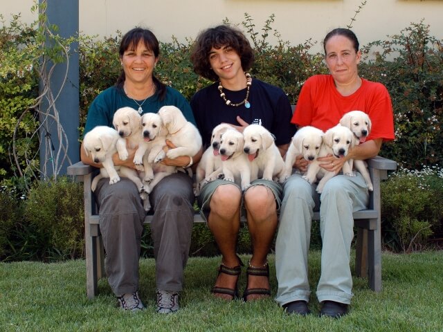 3 people holding 10 puppies