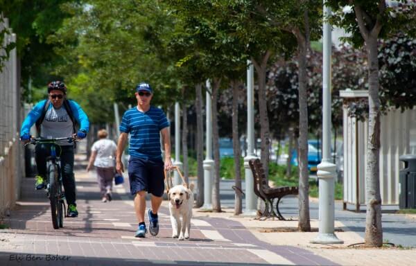 Client walking with guide dog