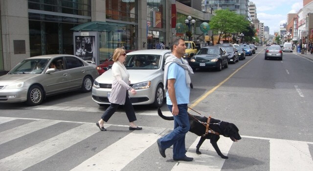 Man in crosswalk with his guide dog