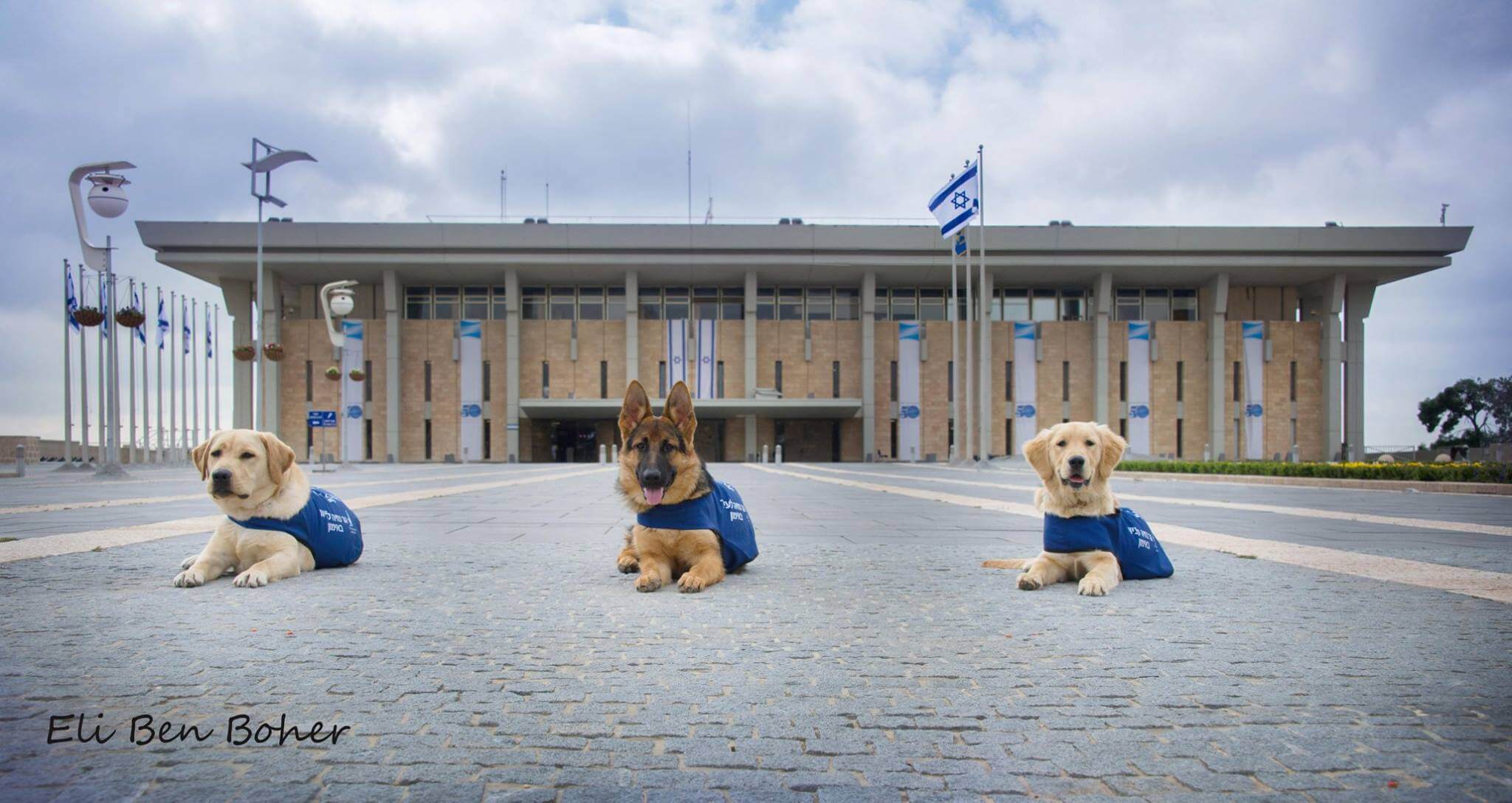 Guide Dogs at Knesset