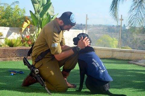 IDF solider and service dog